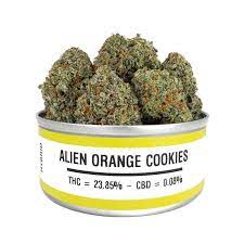 Alien orange cookies strain