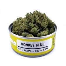 Monkey Glue strain